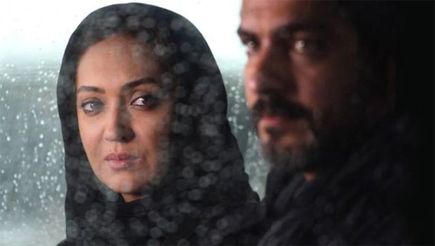 معرفی فیلم «تمشک» به کارگردانی سامان سالور و بازی نیکی کریمی - تصویر مقاله