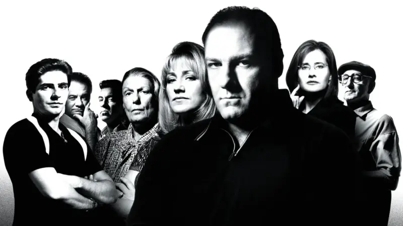 «سوپرانوز» با کالبدشکافی فروپاشی روانی تونی سوپرانو نشان می‌دهد که هویت جنایتکارانه و هویت خانوادگی او نه تنها از یکدیگر حمایت نمی‌کنند، بلکه یکدیگر را می‌بلعند، و این پارادوکس هویتی است که او را به ورطه افسردگی و انزوا می‌کشاند.