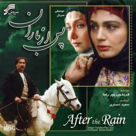 پس از باران - تصویر مقاله
